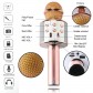 Microfon Profesional Karaoke Wireless Bluetooth 